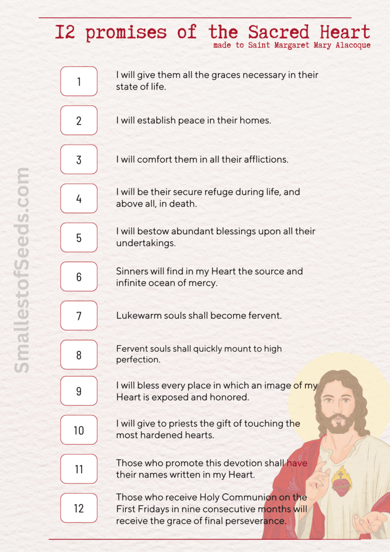 12 promises of the Sacred Heart Margaret and the Heart of Jesus: The Story of the Sacred Heart 12 promises of the sacred heart