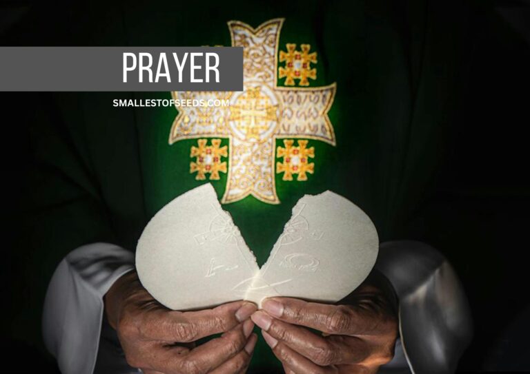 anima christi