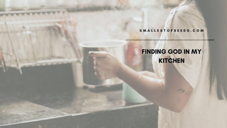 Finding god in my kitchen Lessons from St Therese Finding God in My Kitchen: Lessons in Ordinary Holiness from St. Thérèse finding god in everyday life, how to grow holy