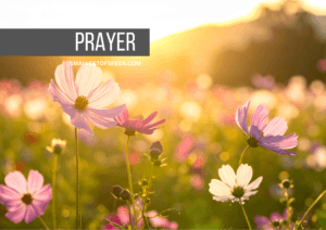 morning offering