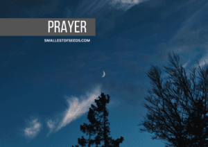Night Prayer by St Alphonsus Liguori