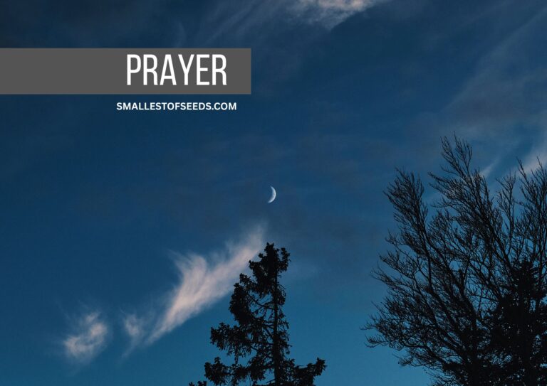 Night Prayer by St Alphonsus Liguori