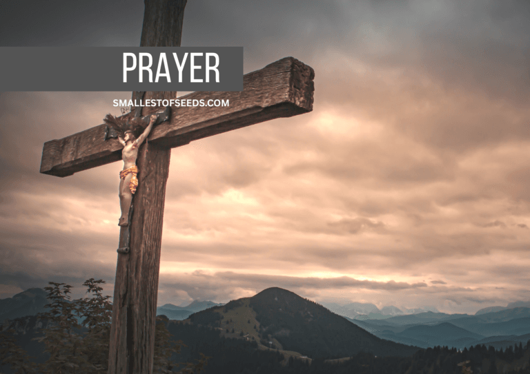 precious blood prayer