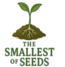 Logo showing sapling emerging from soil, signifying rootedness in Christ and growth in faith.
