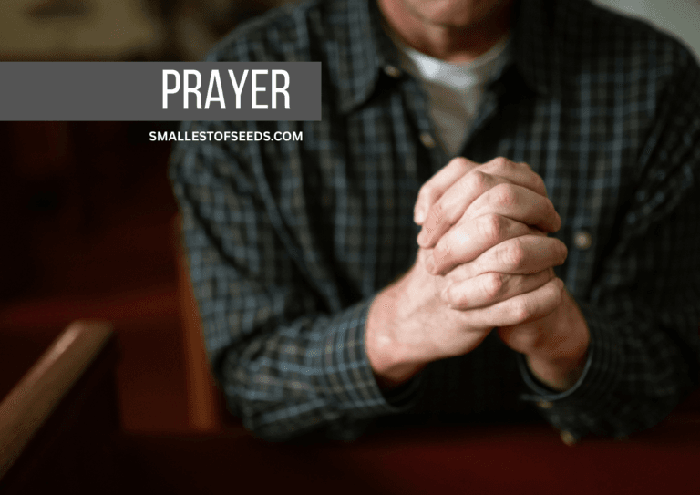 deliverance from fear Psalm 34: Prayer for Deliverance from Fear deliverance from fear