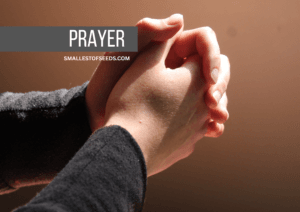 god our protector