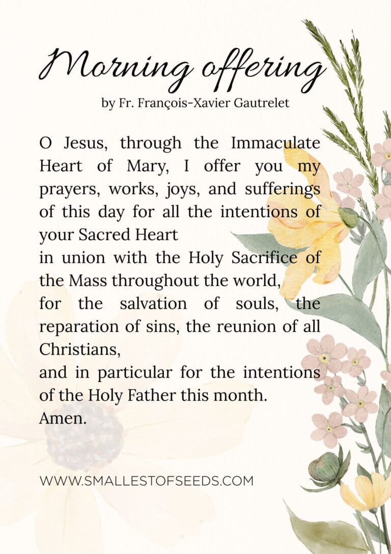 morning offering Morning Offering Prayer morning offering prayer