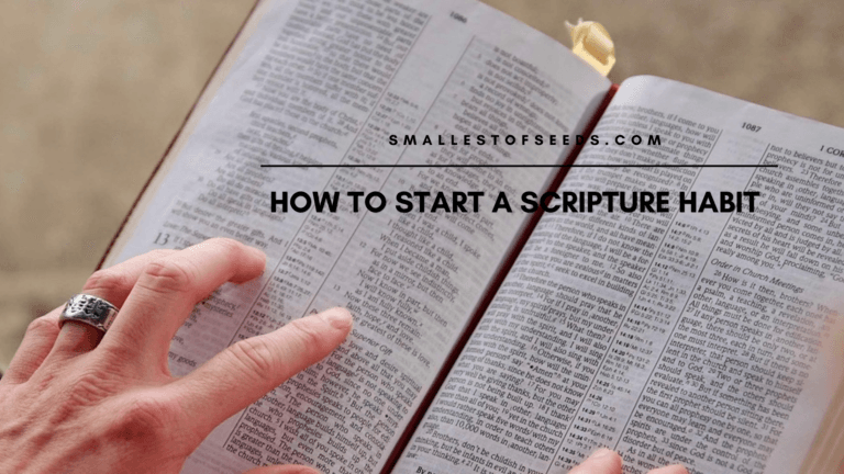 how to start a scripture habit lectioblog cover