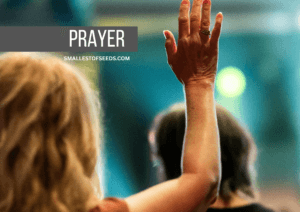 ignatius prayer of surrender