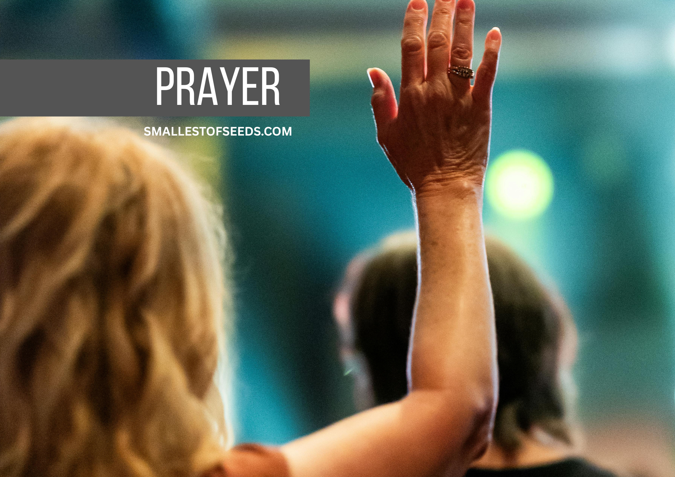 ignatius prayer of surrender