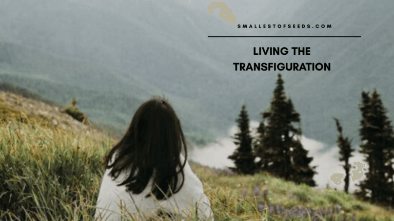 Transfiguration BANNER Living the Transfiguration: Remembering God's Faithfulness in the Valleys trusting god when life is hard - reflection on the transfiguration
