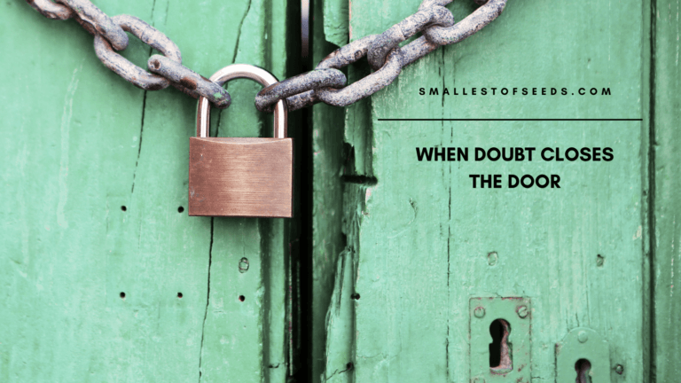 reflection on matthew 13