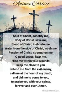 anima christi
