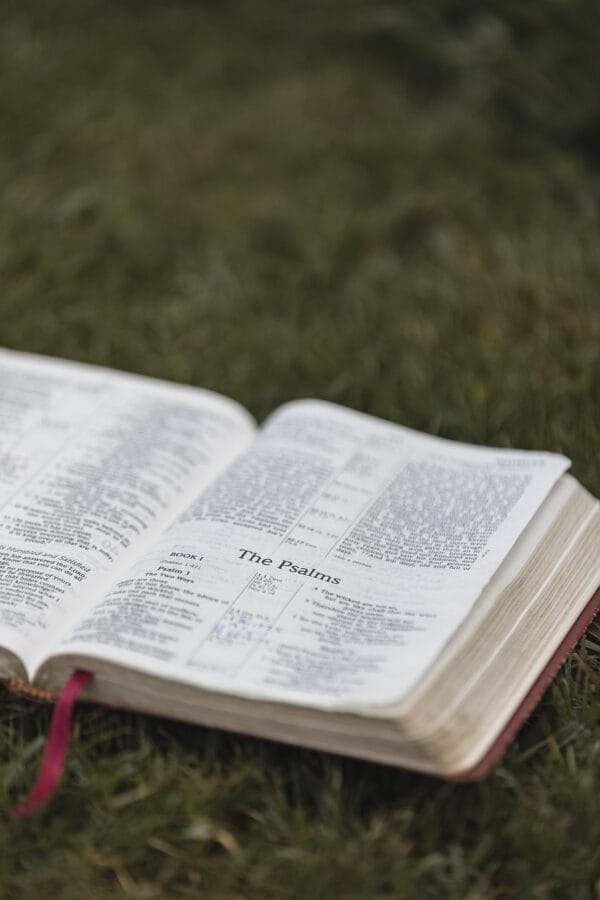 bible, christianity, religion, bible study, bible verse, bible reading, book, pages, christian bible, nature, god, grass, christian symbol, word of god, scripture, holy, christian background