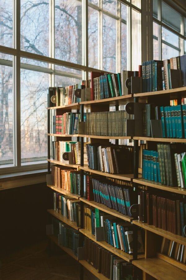 Library shelves filled with books by a large window, bathed in natural sunlight.