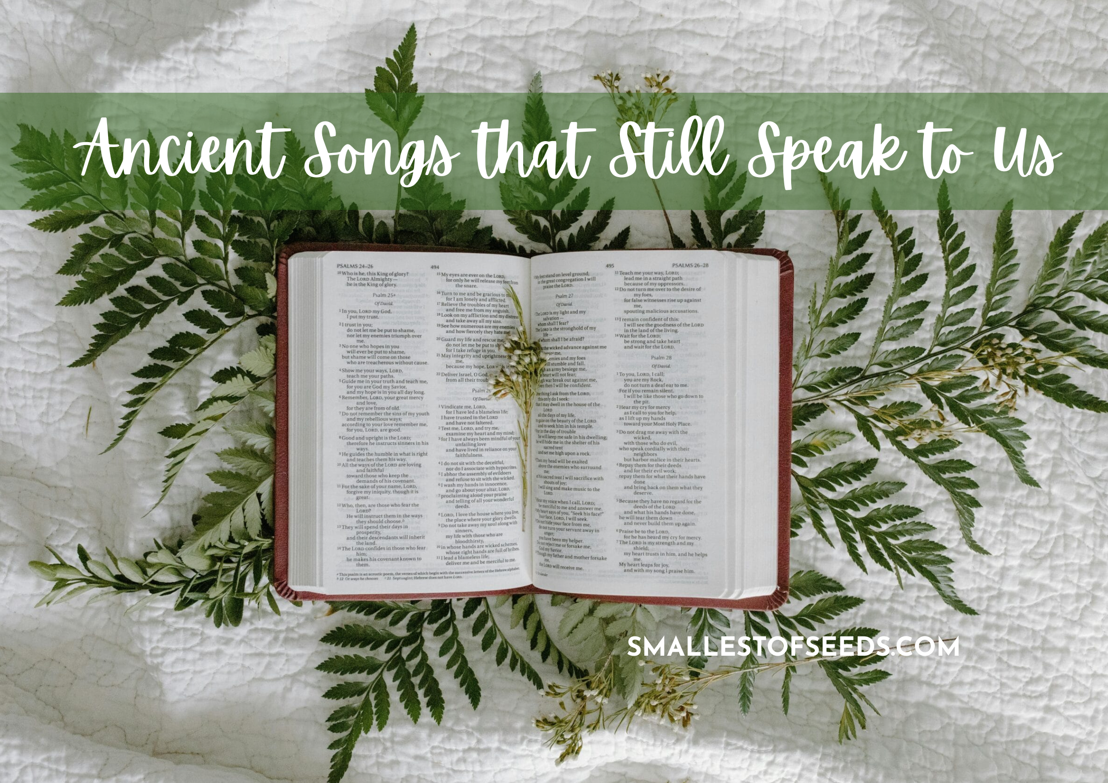 the psalms - ancient songs that still speak to us