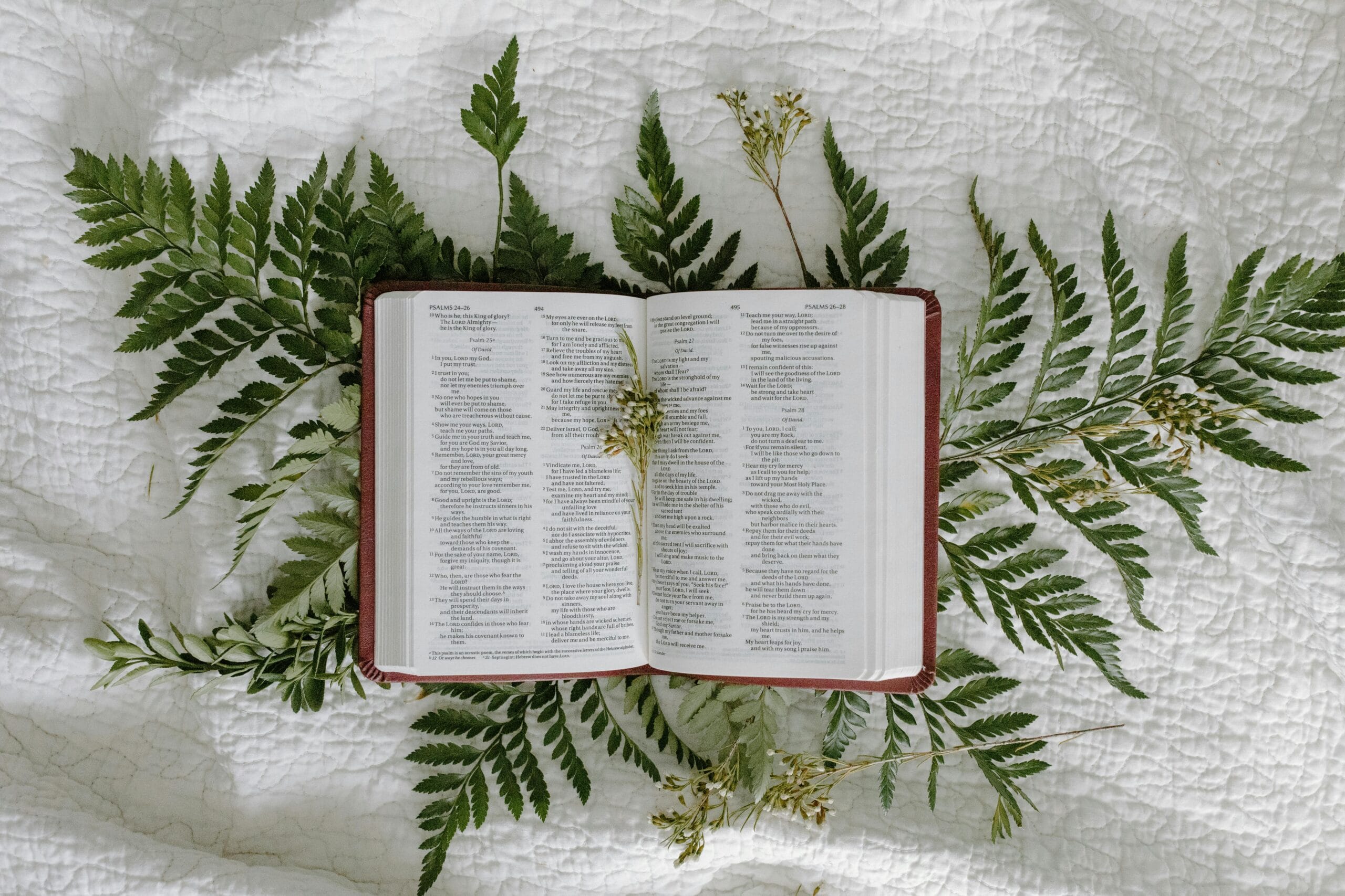 An open Bible displayed on a bedspread surrounded by fern leaves, symbolizing faith and nature.