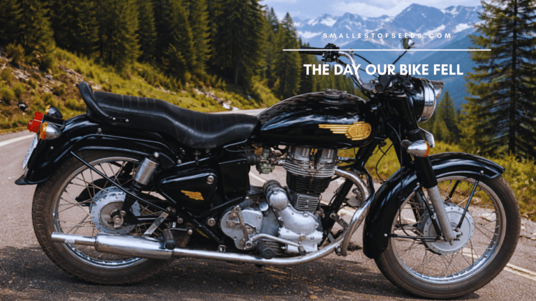 Psalm 91 story of protection