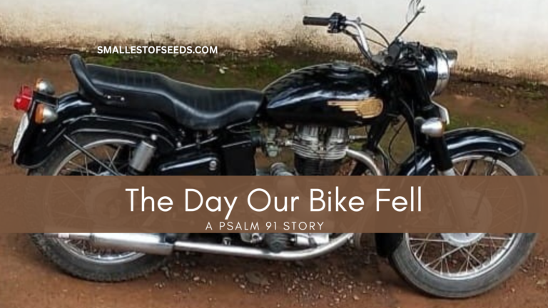 the day our bike fell