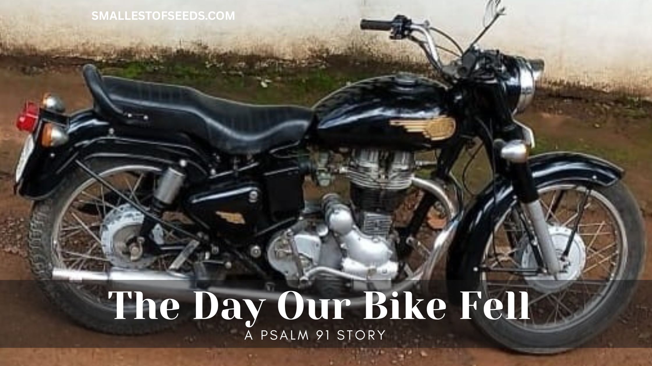 the day our bike fell