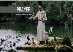 francis of assisi