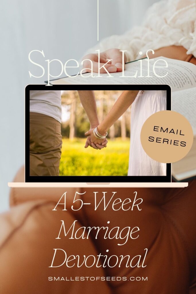 Marriage series mockup Discovering God's Plan for Marriage: A Stairway to Heaven marriage series