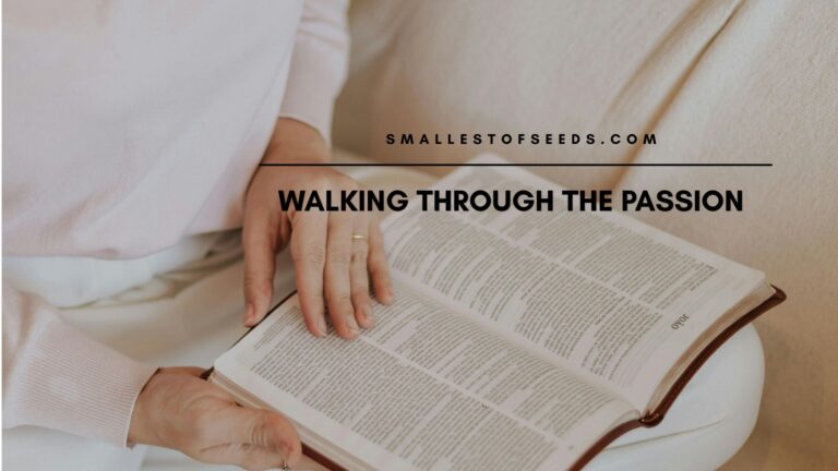 Walking through the passion