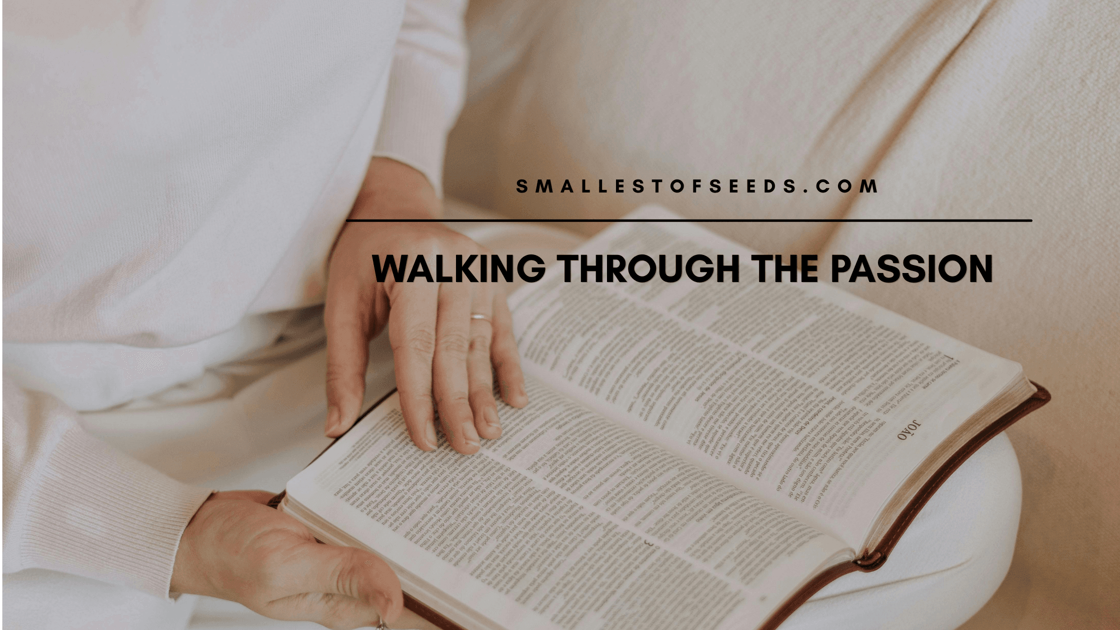 Walking through the passion