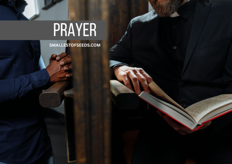 Act of Contrition at Confession