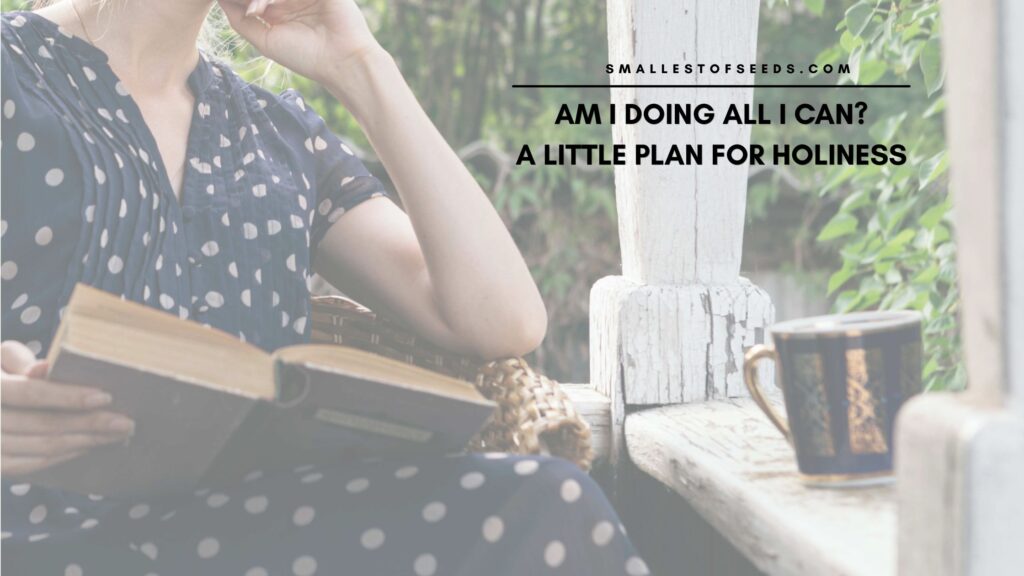 Am I Doing All I Can A Little Plan for Holiness Am I Doing All I Can? A Message from Fatima & A Little Plan for Holiness How to Grow in Holiness