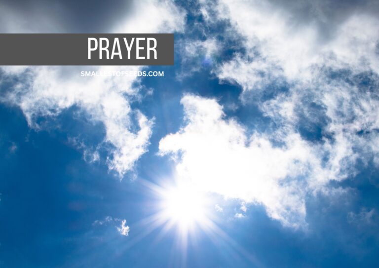 Come Holy Spirit: Short Invocation