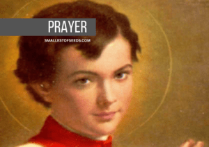 Prayer by Saint Dominic Savio