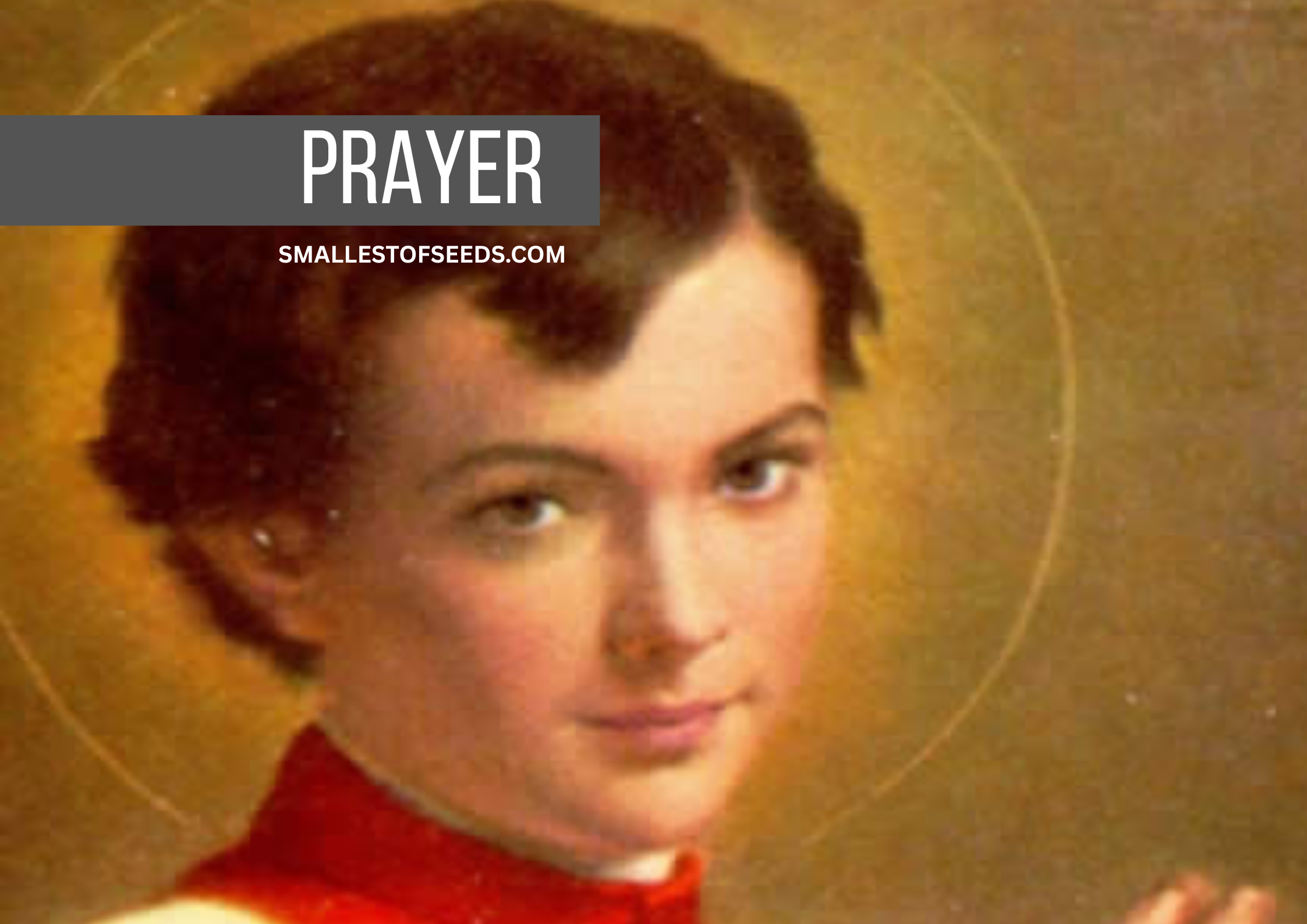 Prayer by Saint Dominic Savio