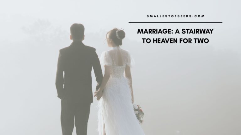 God's plan for marriage