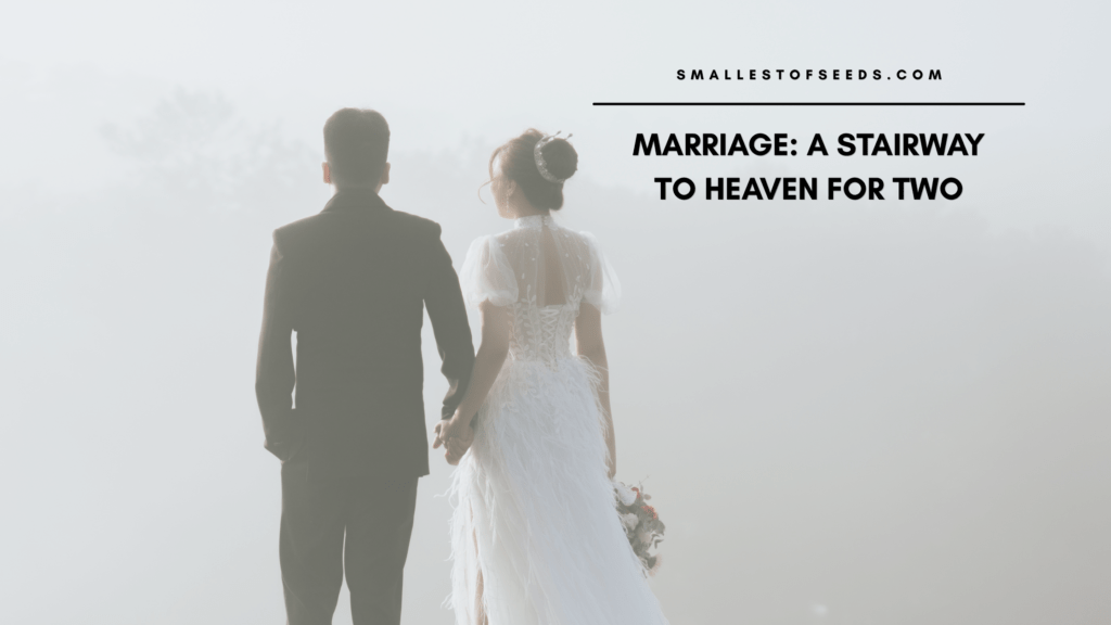 God's plan for marriage