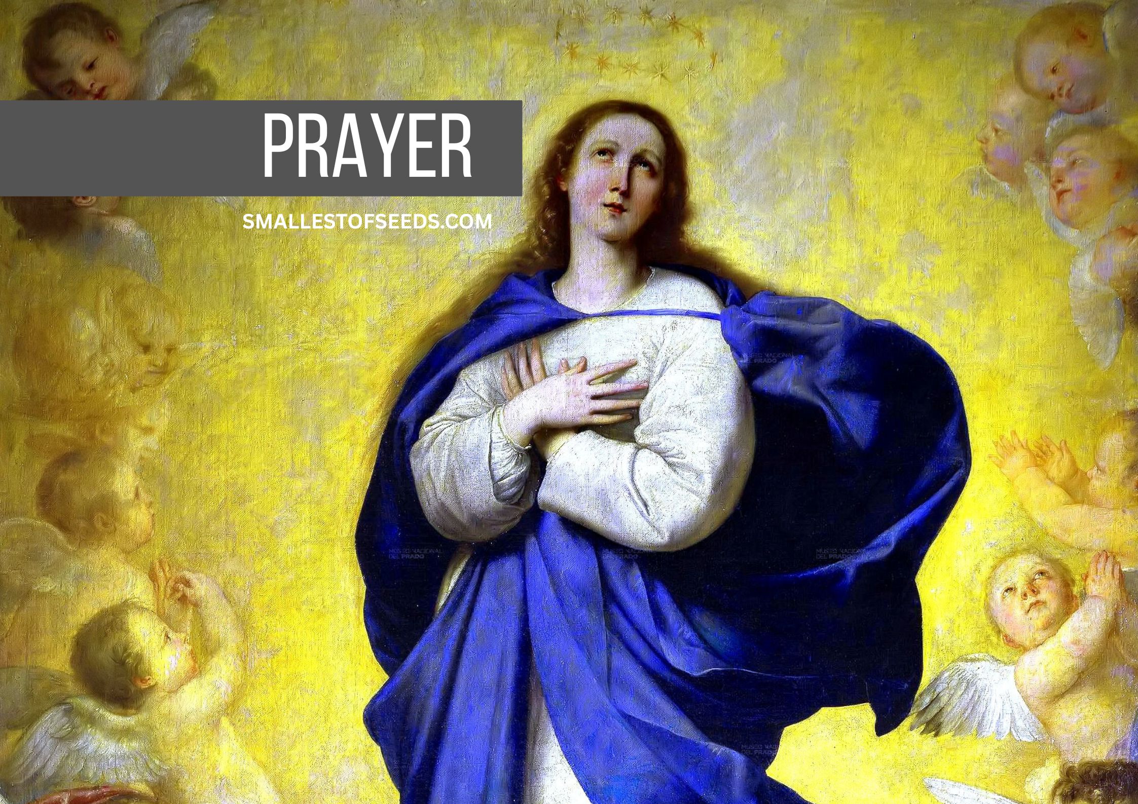 Traditional Marian Prayers, Hail Mary, Salve Regina, Memorare, Regina Caeli