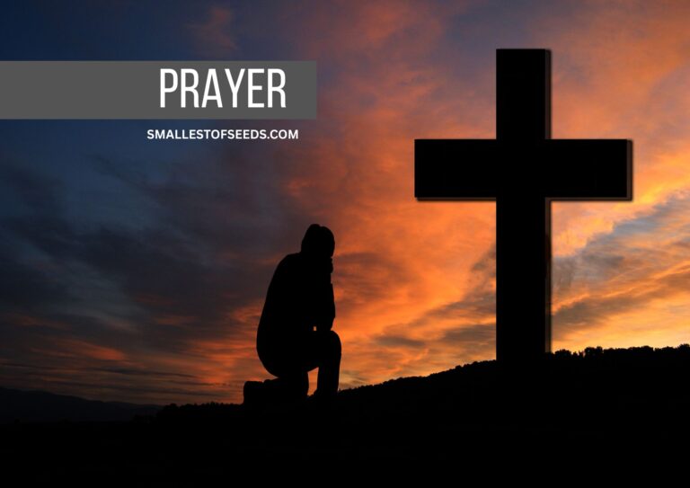 prayer for forgivess of sins by saint Gemma