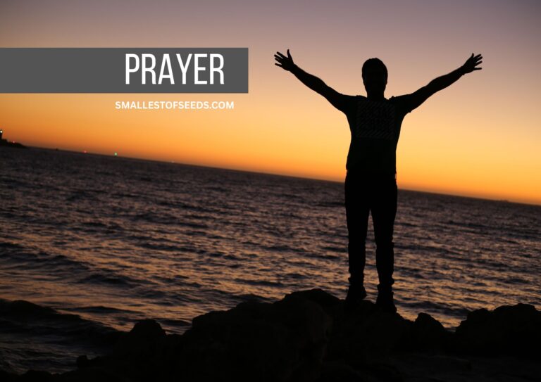 Saint Augustine - Knowing, Loving, Serving God